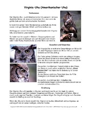 Virginia-Uhu-Steckbrief.pdf